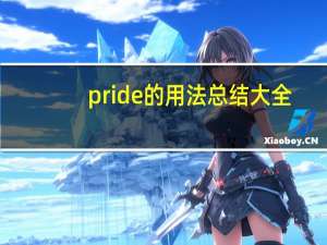 pride的用法总结大全