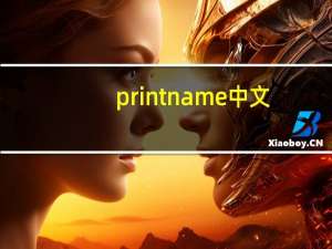 print name中文（print name）