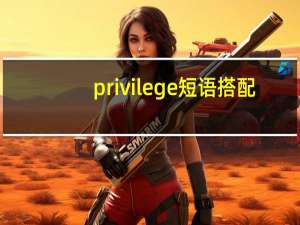 privilege短语搭配