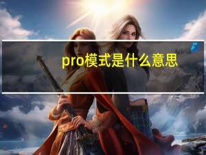 pro模式是什么意思