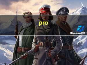 pro（sir）