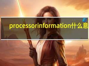 processor information什么意思