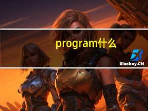 program什么