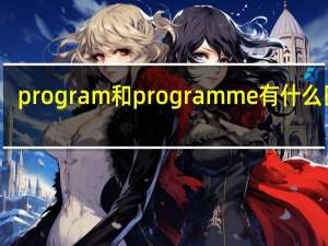 program 和programme有什么区别