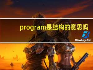 program是结构的意思吗