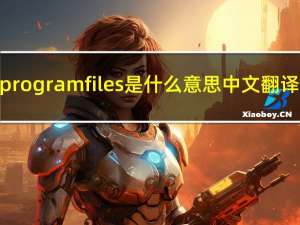 programfiles是什么意思中文翻译