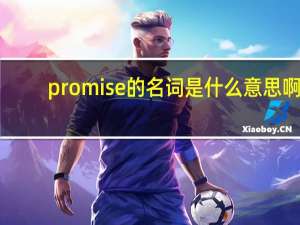 promise的名词是什么意思啊