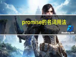 promise的名词用法