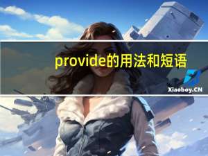 provide的用法和短语
