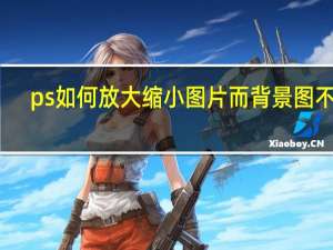 ps如何放大缩小图片而背景图不动（ps如何放大缩小图片）