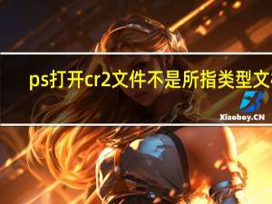 ps打开cr2文件不是所指类型文档（ps怎么打开cr2文件）