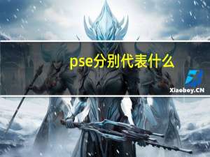 pse分别代表什么