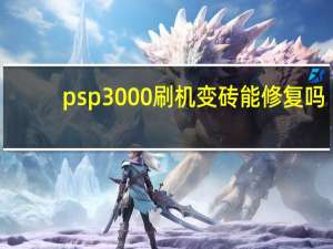 psp3000刷机变砖能修复吗（psp3000刷机）