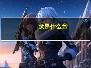 pt是什么金