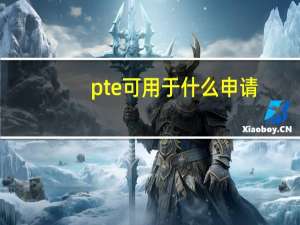 pte可用于什么申请