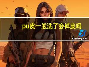 pu皮一般洗了会掉皮吗