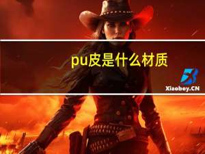 pu皮是什么材质