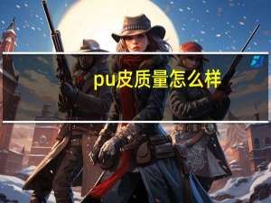 pu皮质量怎么样
