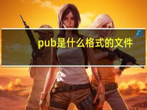 pub是什么格式的文件（pub是什么格式）