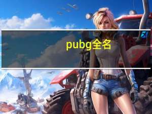 pubg全名