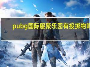 pubg国际服聚乐园有投掷物吗