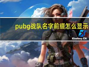 pubg战队名字前缀怎么显示