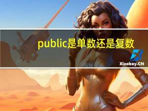 public是单数还是复数