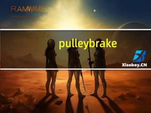 pulley brake（pulley）