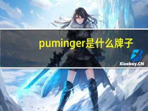 puminger是什么牌子