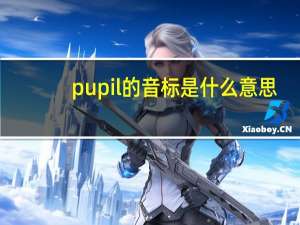 pupil的音标是什么意思（pupil的音标）