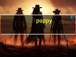 puppy（cube）