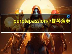 purplepassion小提琴演奏（purplepassion）