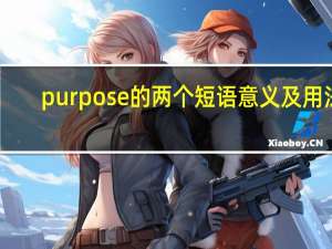 purpose的两个短语意义及用法