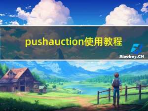 pushauction使用教程（pushauction登录）