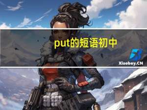 put的短语初中