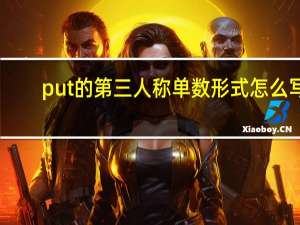put的第三人称单数形式怎么写