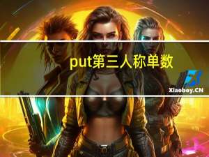 put第三人称单数