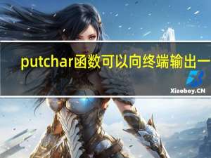 putchar函数可以向终端输出一个( )