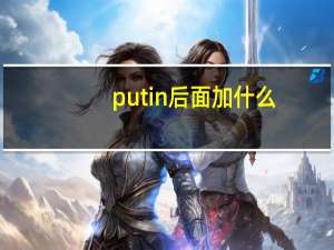 put in后面加什么