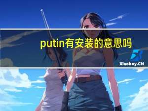 put in有安装的意思吗
