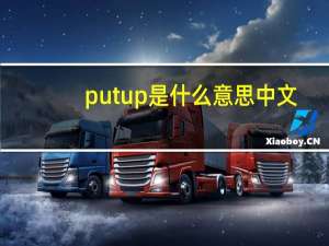 put up是什么意思中文（put up）