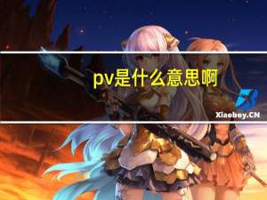 pv是什么意思啊