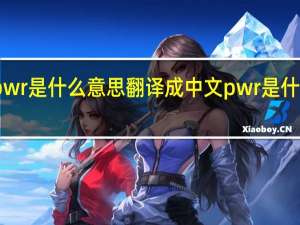 pwr是什么意思翻译成中文 pwr是什么意思