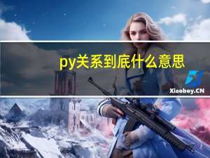 py关系到底什么意思