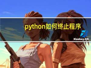 python如何终止程序