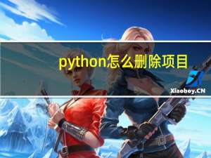 python怎么删除项目