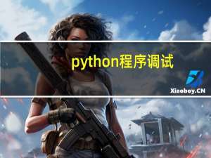 python程序调试