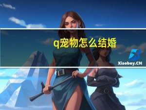 q宠物怎么结婚