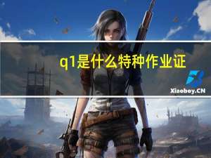 q1是什么特种作业证