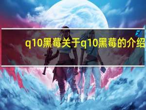 q10 黑莓 关于q10 黑莓的介绍